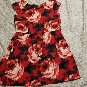 Gap Kids girl dress size XL (12)